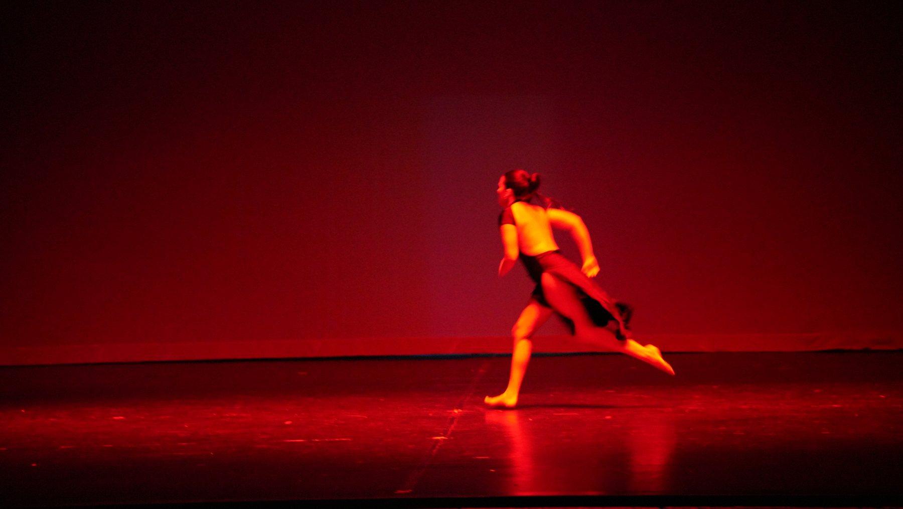 Les Retrouvailles recital photo 2