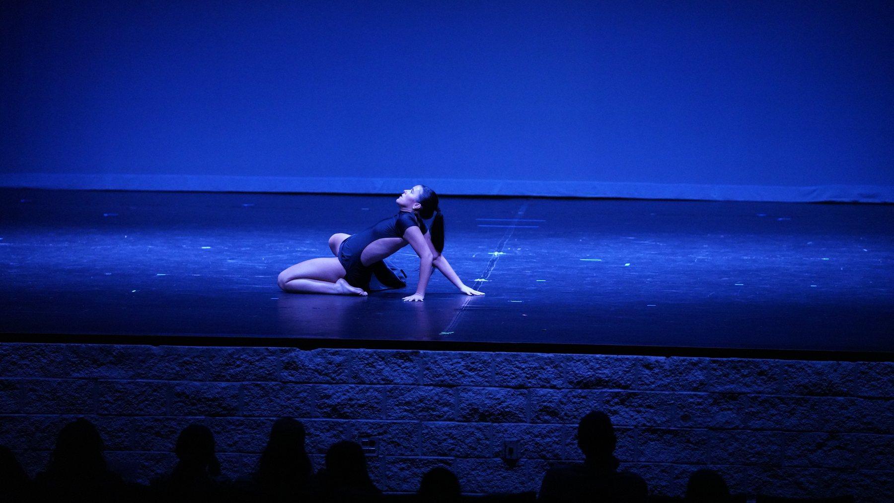 Les Retrouvailles recital photo 3
